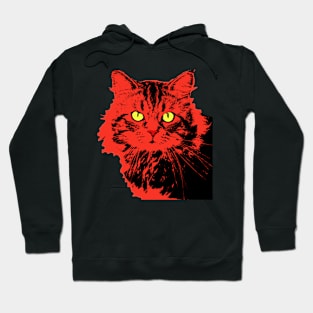 Cat Hoodie